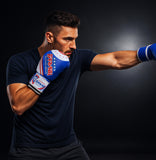 Farabi Boxing Gloves B4 Target Genuine Leather